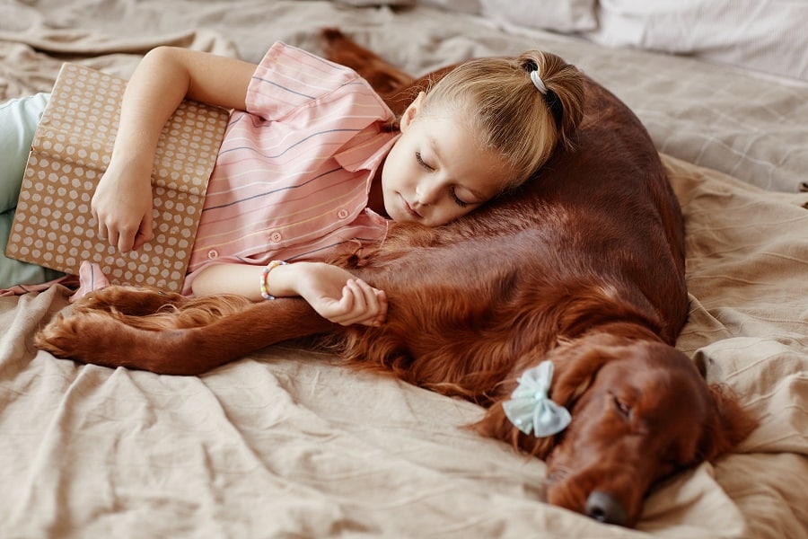 Sleeping with a Dog
