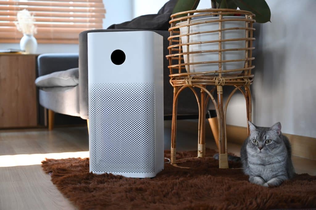 Air Purifiers