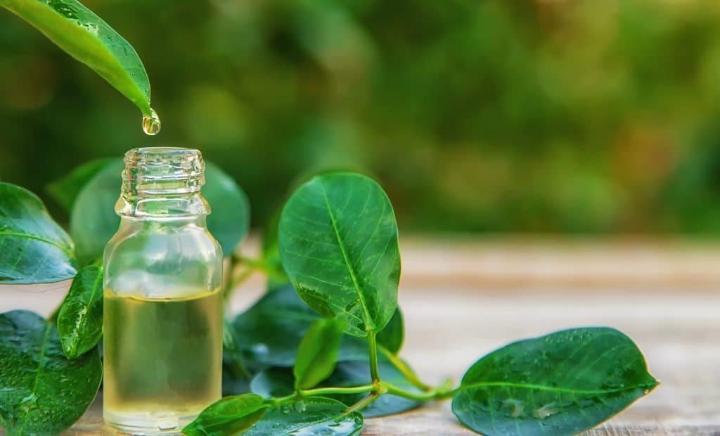 Tea Tree Oil