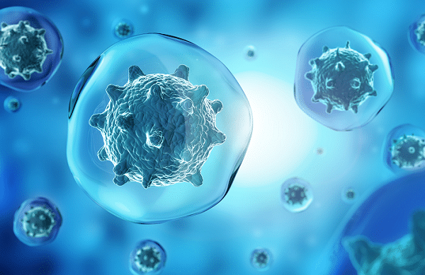 Free Radicals