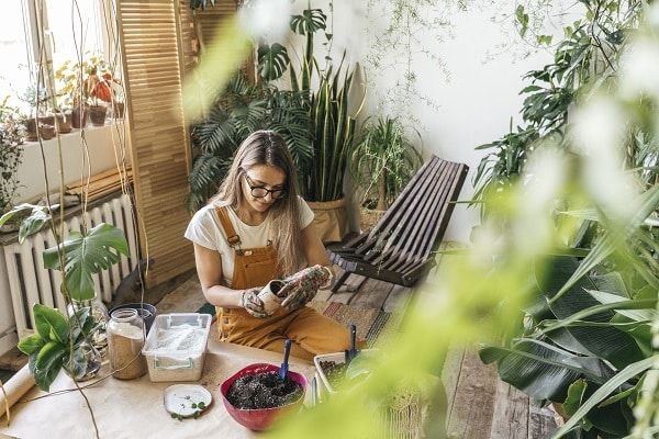 Urban Gardening
