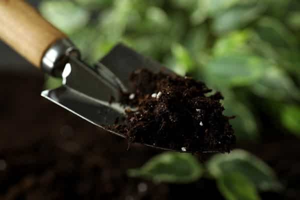 Make Your Own Organic Fertilizer