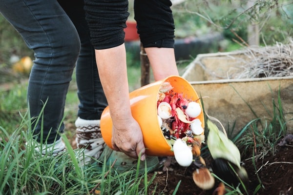 Make Your Own Organic Fertilizer