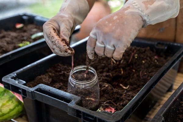 Make Your Own Organic Fertilizer