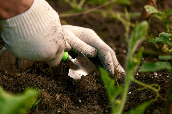 Make Your Own Organic Fertilizer