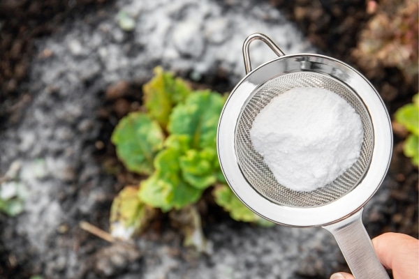 Uses For Baking Soda Around The House