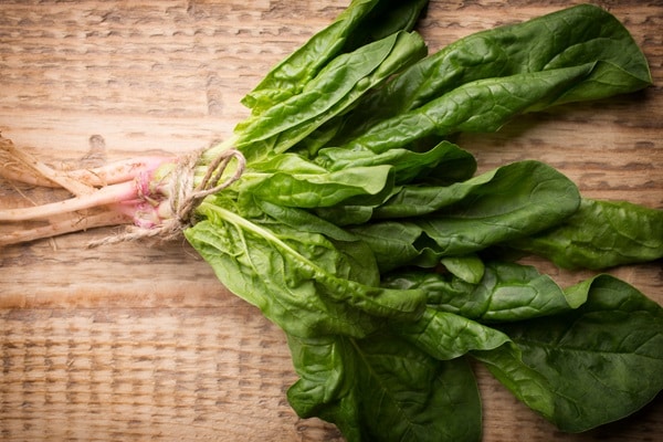 Superfoods To Boost Your Immune System