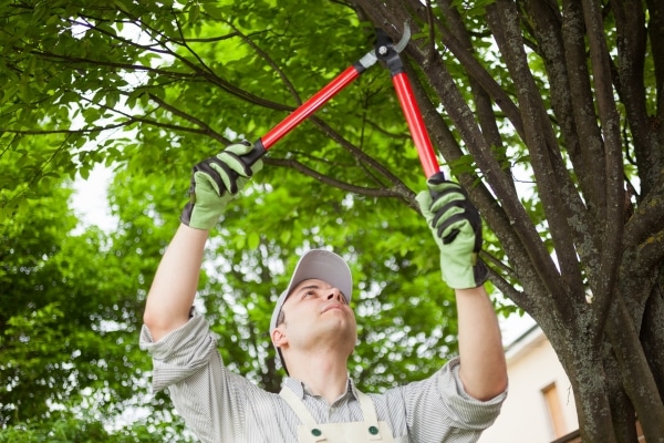 The Ultimate Guide to Home Maintenance