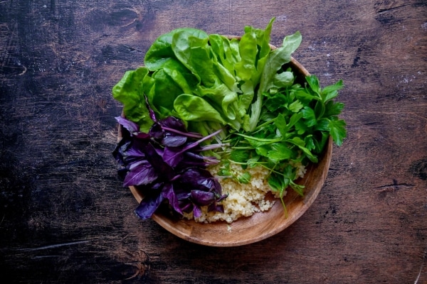 Best Foods for Brain Health and Memory Retention